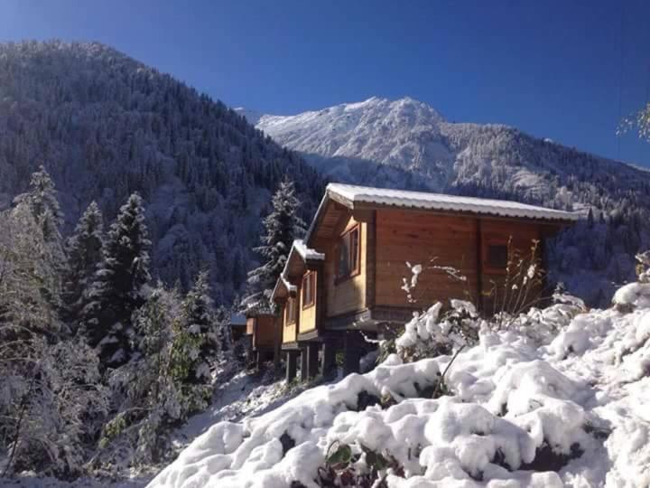 Kardelen Bungalov Evleri̇ Villa Ayder Yaylasi Exterior photo