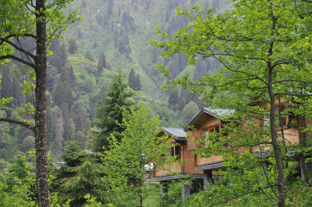 Kardelen Bungalov Evleri̇ Villa Ayder Yaylasi Room photo